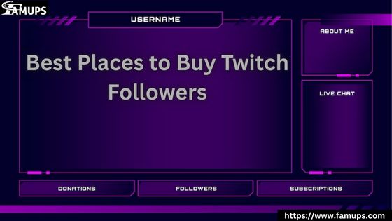 Best Places to Buy Twitch Followers