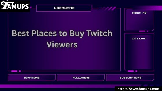 Best Places to Buy Twitch Viewers