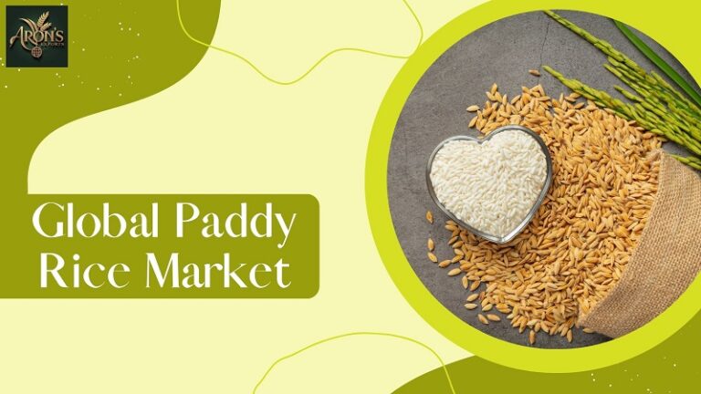 global paddy rice market