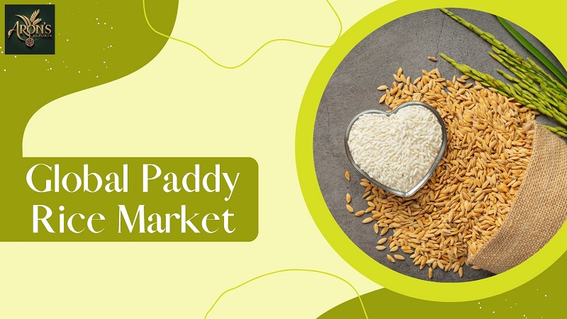 global paddy rice market