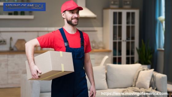 Best Bergenfield Movers