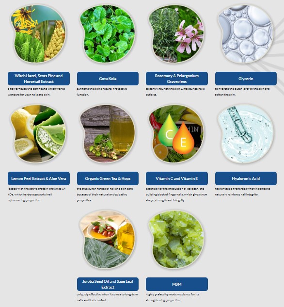 metanail serum pro ingredients