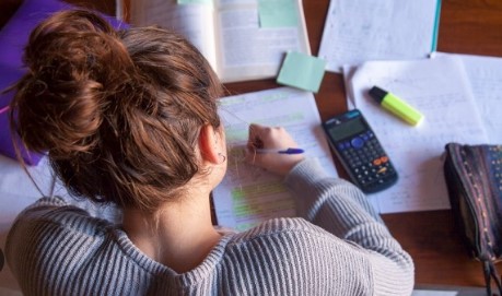 statistics assignment help