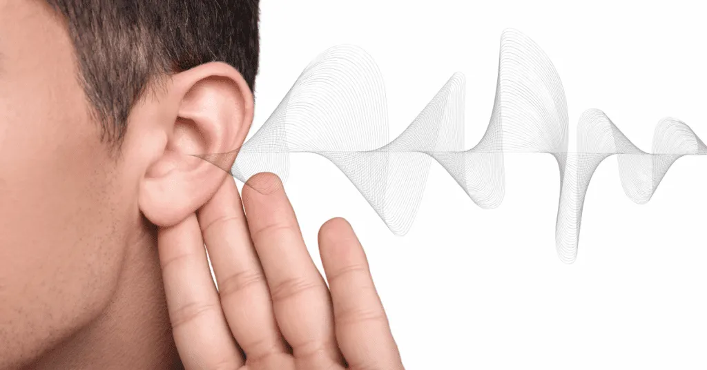 Hearing support supplement